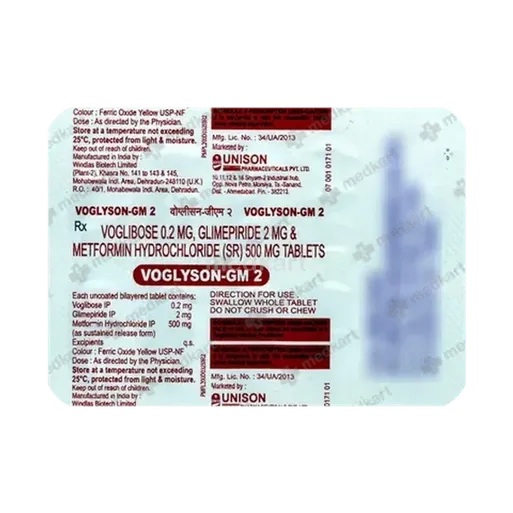 voglyson gm 2mg tablet 10's